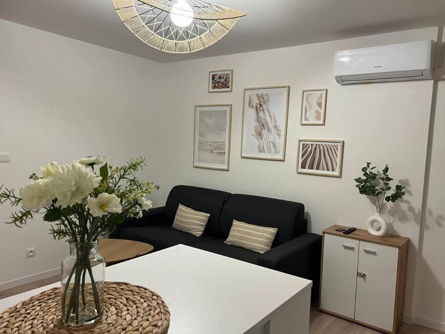 *La Pampa, Studio, Parking, Clim, Hopitaux/Fac* Монпелье Экстерьер фото